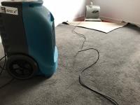 Steamfresh Carpet Cleaning image 5